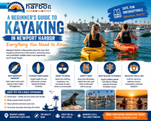 Kayak adventure in Newport
